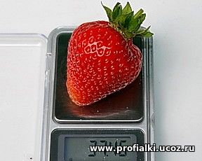 Клубника Альба